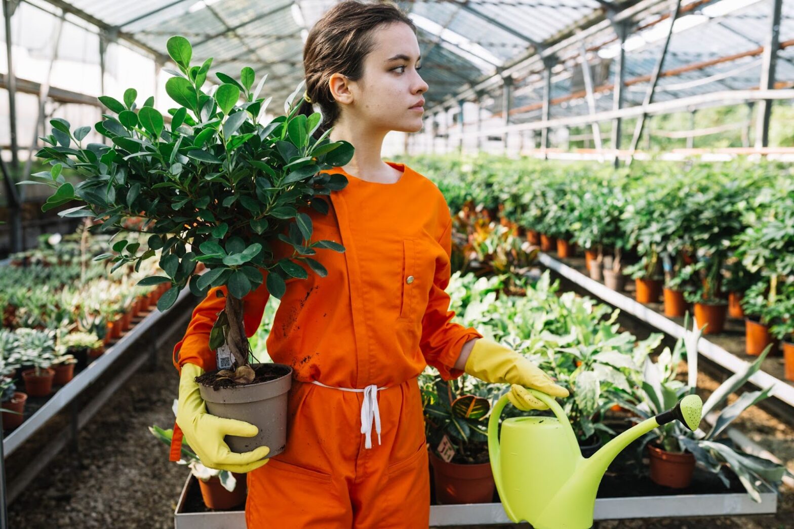 Female gardener holding potted plant and watering can in greenhouse
