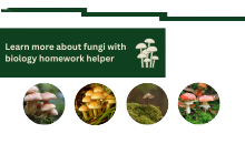Get help with biology homework and improve your knowledge in mycology