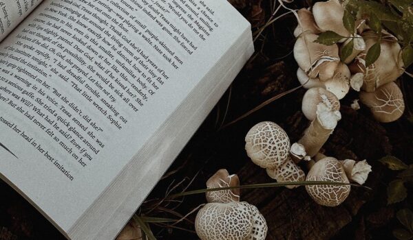 mushrooms